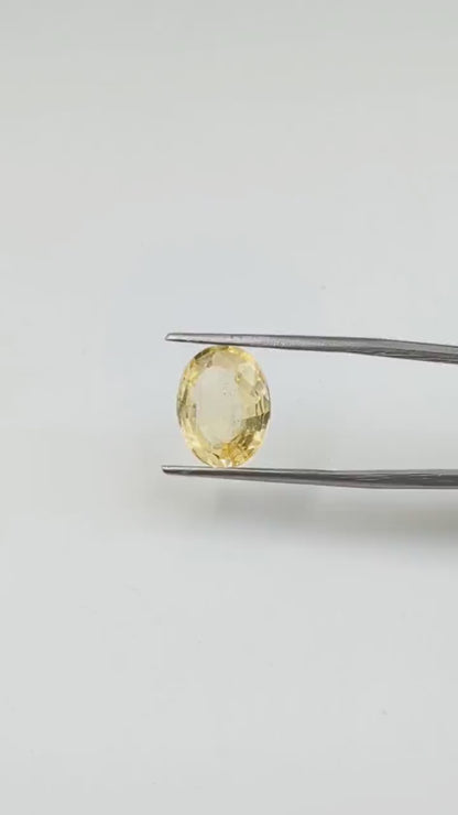 Yellow Sapphire Loose Gemstone Faceted Oval Yellow Sapphire 10 x 12 mm Loose